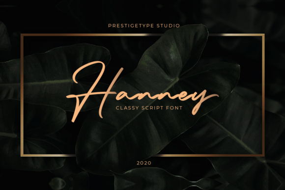 Font That Speaks Your Brand: Hanney for Small Business