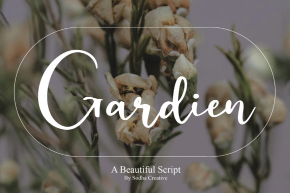 Gardien: A Script Font for Modern Web Design